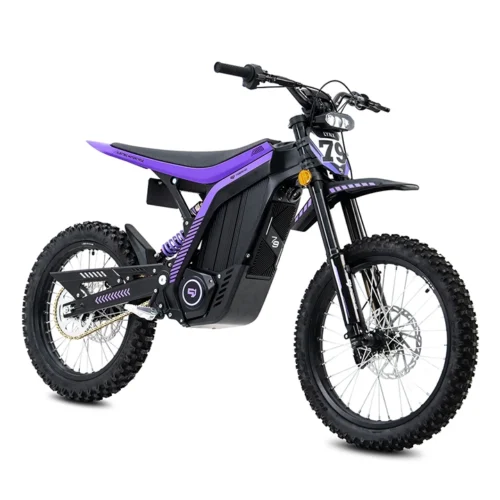 79BIKE-Lynx Electric Dirt Bike